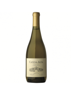 Catena Zapata Catena Alta Chardonnay 2019 (RV)